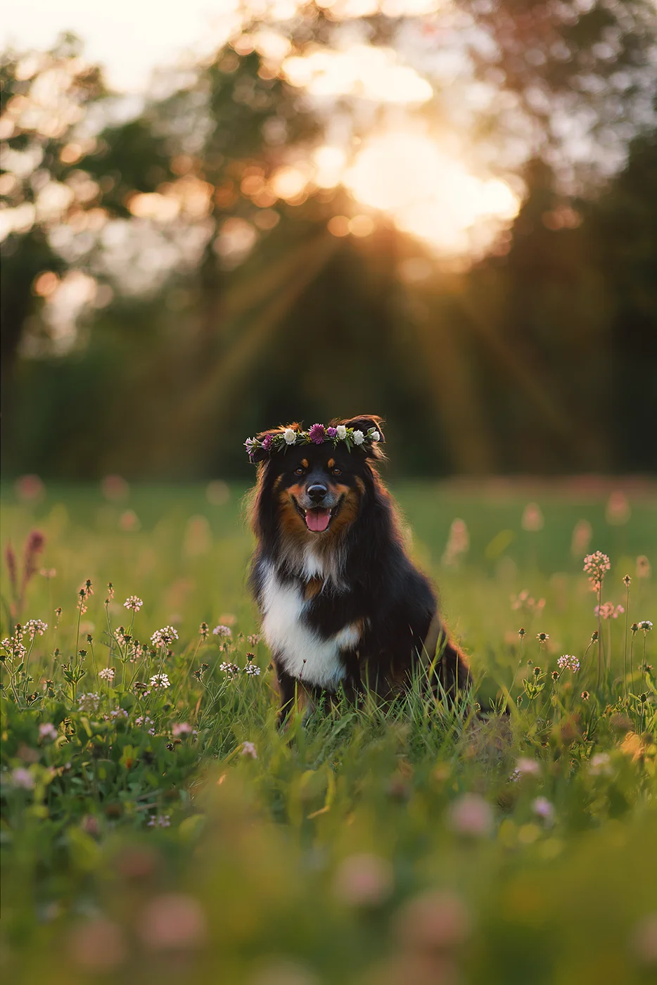 Tierfotografie von Dana Bergamelli